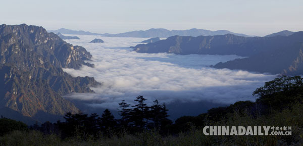 湖北神農(nóng)架榮膺世界自然遺產(chǎn)地稱號(hào)