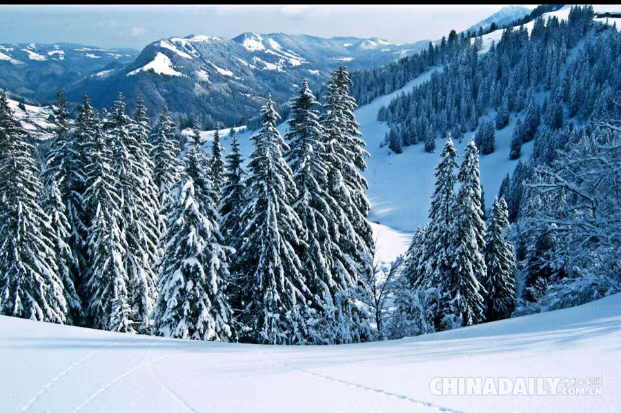 山西寧武蘆芽山景區(qū)黃金周迎大雪 系今年首場(chǎng)