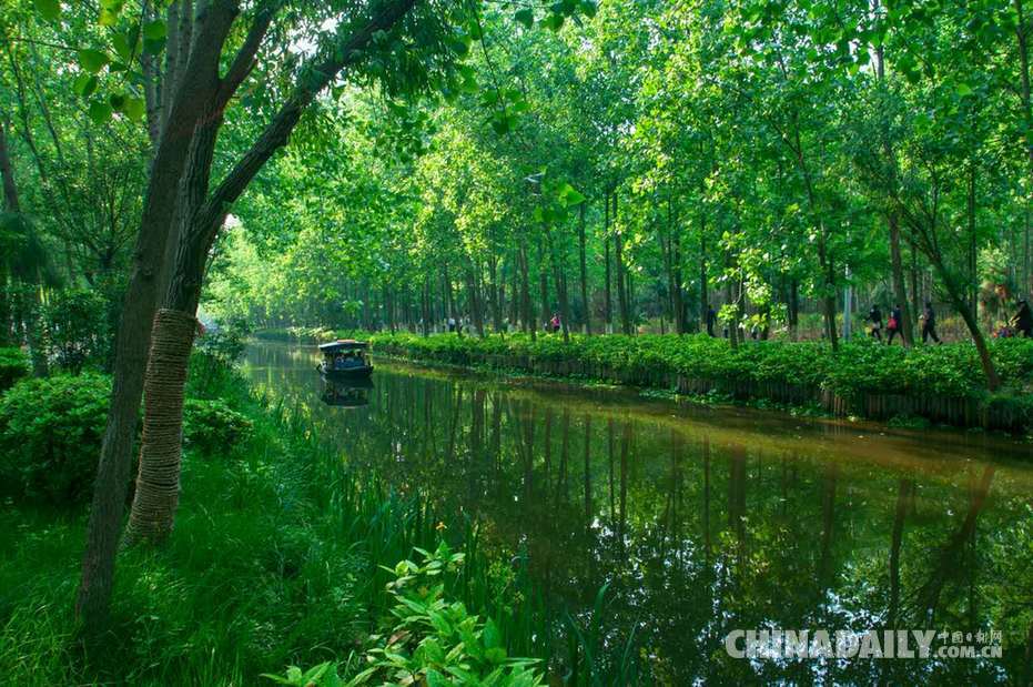 退耕還林還出國家級森林公園（組圖）