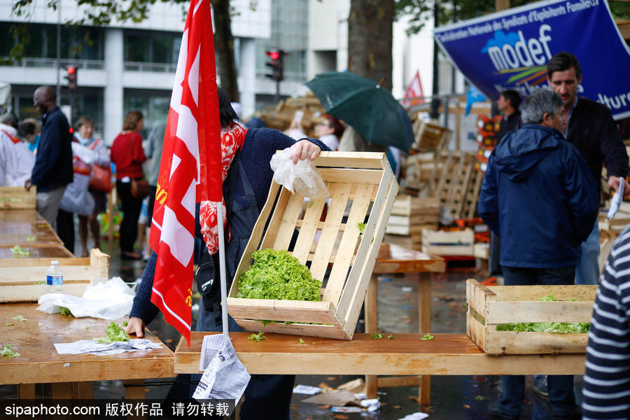 歐洲毒雞蛋丑聞之際 法國“農(nóng)夫市集”直銷蔬果搶購一空