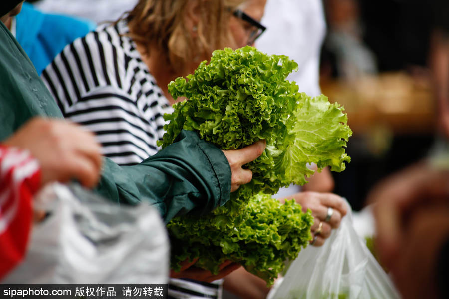 歐洲毒雞蛋丑聞之際 法國“農(nóng)夫市集”直銷蔬果搶購一空