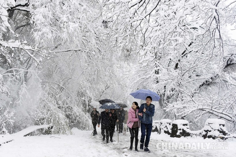 直擊我國多地迎來強降雪