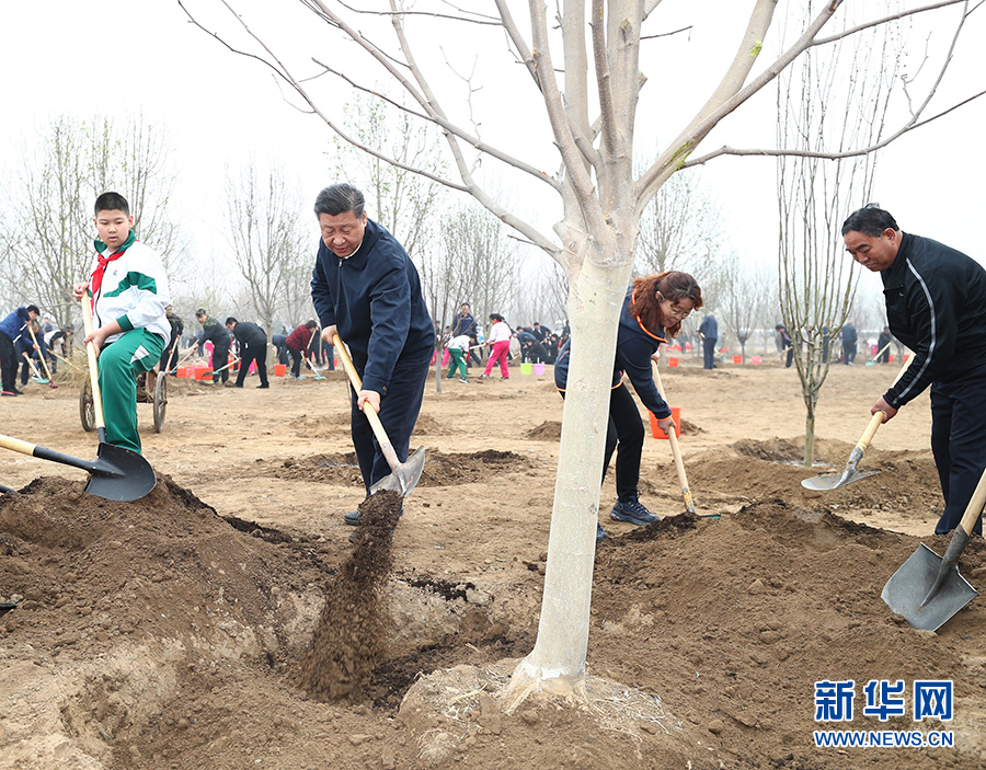 跟總書記一起“做種樹(shù)者”