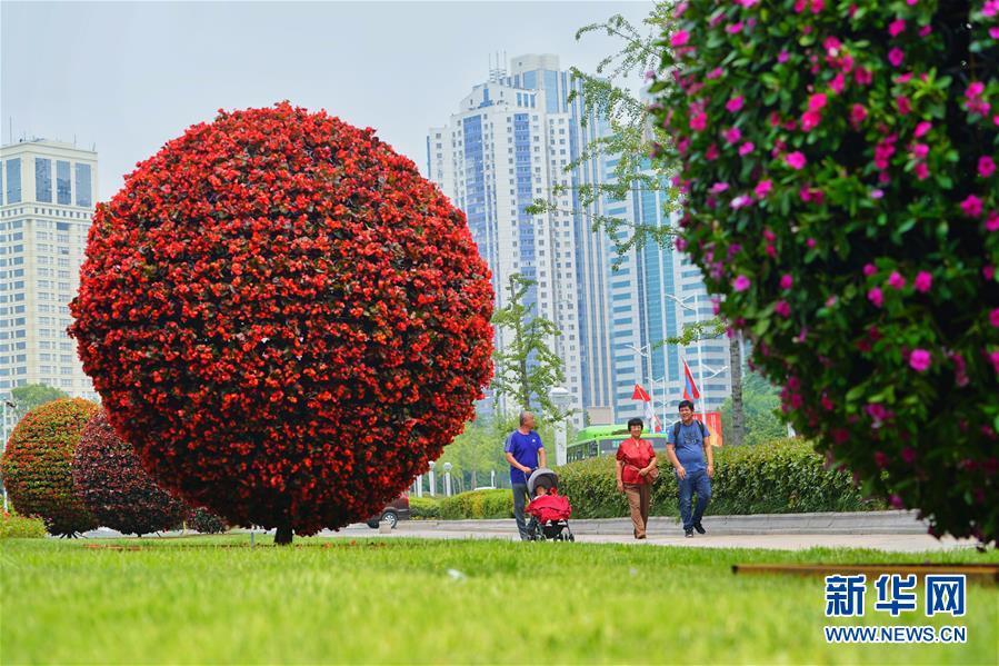 青島歡迎你 上合