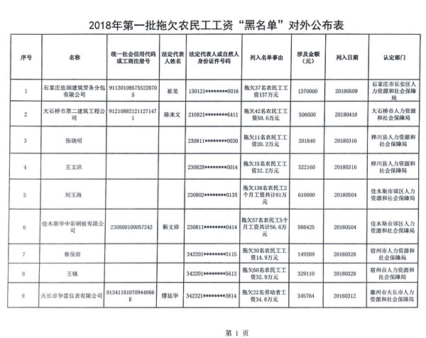 首批拖欠農(nóng)民工工資黑名單公布，被“拉黑”者融資貸款、乘飛機(jī)高鐵受限