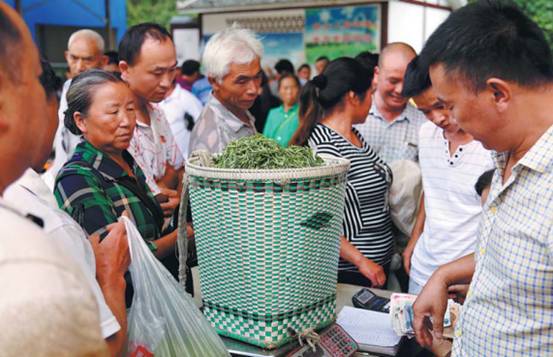 【大江奔流——來自長江經濟帶的報道】貴州遵義核桃壩村：彌漫著茶香的富裕生活